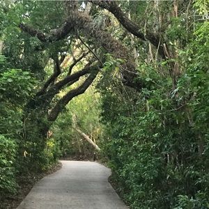 Meet your Posher, Sibel